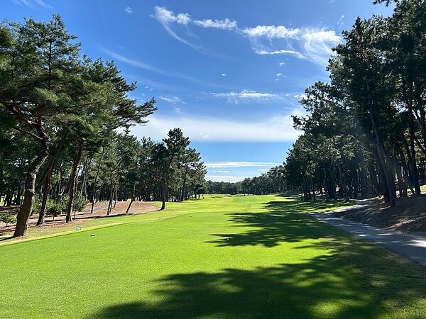 秋晴れ⛳の画像