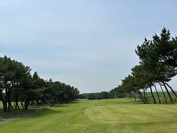 「若松ゴルフ」で快適ラウンド⛳の画像