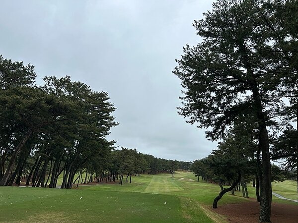 沸き立ったチームバトル⛳の画像