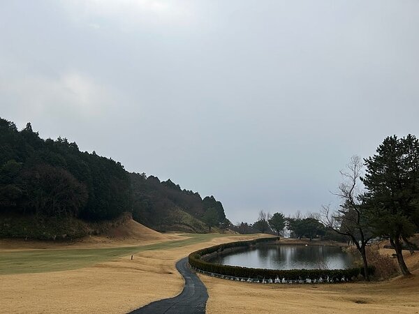 修行ラウンド⛳の画像