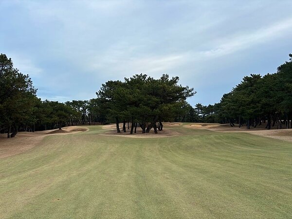 古賀市民交流ゴルフ大会⛳️の画像