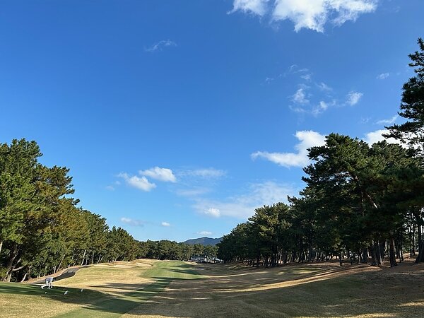 2024年打ち納め⛳多分！の画像
