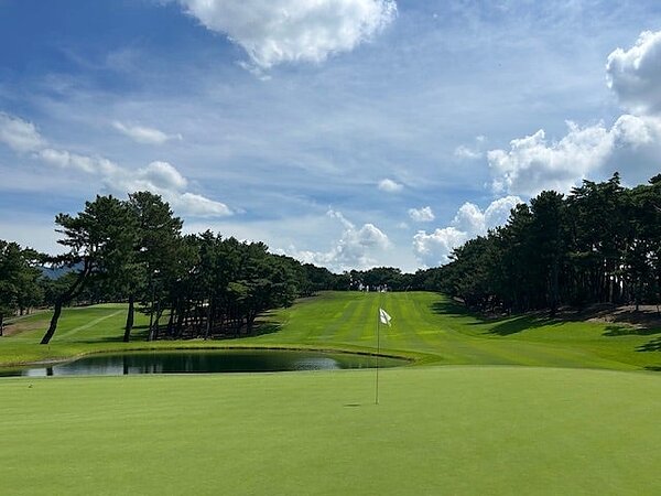 視界良好⛳の画像