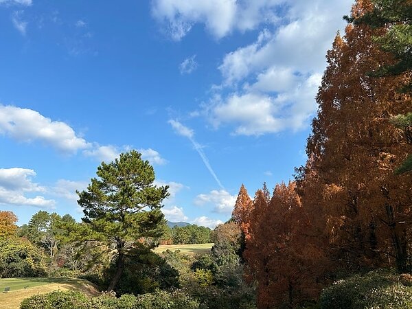 西カンでワイワイコンペ！の画像
