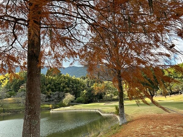 若宮ゴルフで忘年ゴルフ⛳の画像