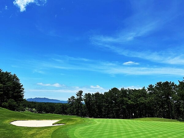 ２０２４年夏季休暇のご案内の画像