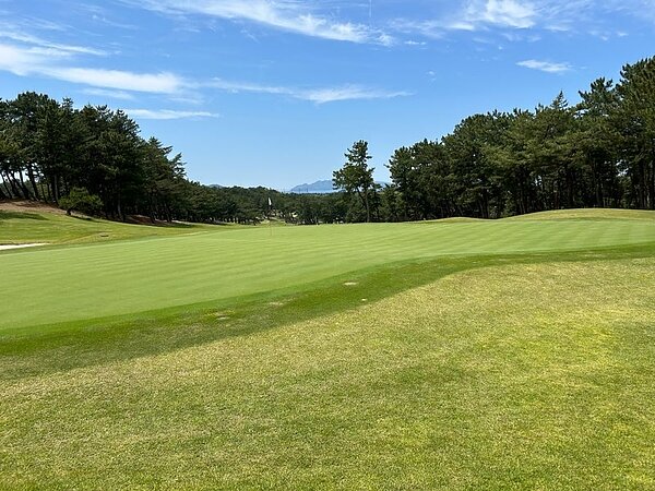 視界良好⛳の画像