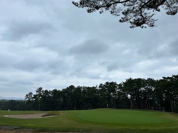 すこぶる楽しかったバトルラウンド⛳の画像