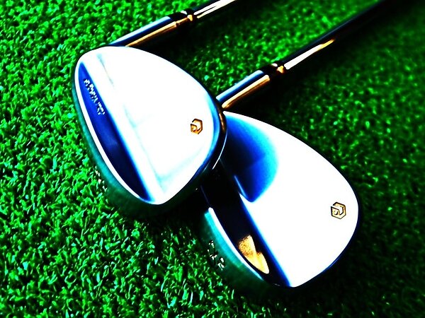 妥協しらずのガンバルレディー！の画像