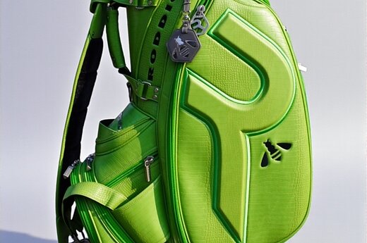 RODDIOのイメージ