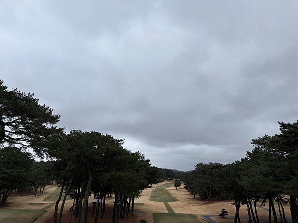 若手を交えてのチームバトル⛳の画像