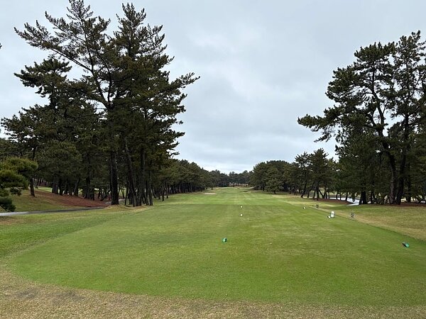 大いに笑ったチームバトル⛳の画像