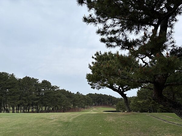ひんやりムードの玄海ゴルフ⛳の画像