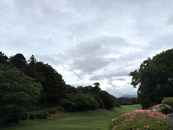 雨天決行☔の画像