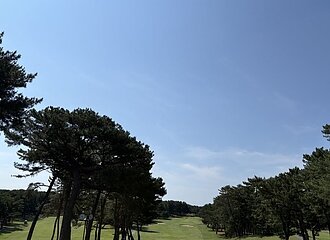 梅雨の晴れ間に ⛳のイメージ