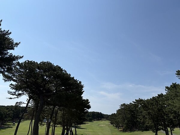 梅雨の晴れ間に ⛳の画像