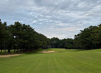 右へ左へ、オイサ！オイサ！のイメージ