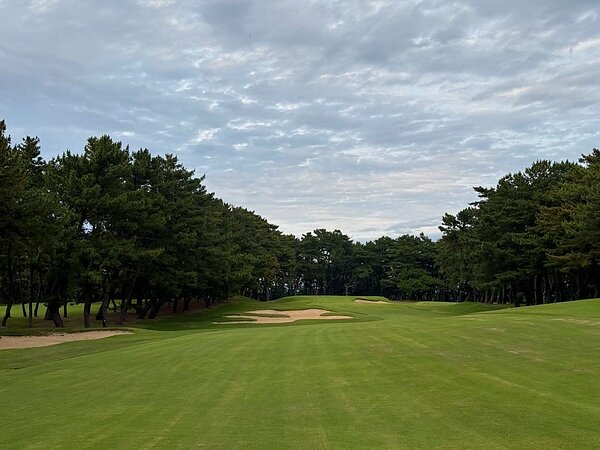 右へ左へ、オイサ！オイサ！の画像