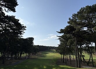 真夏の爽やかラウンド⛳のイメージ
