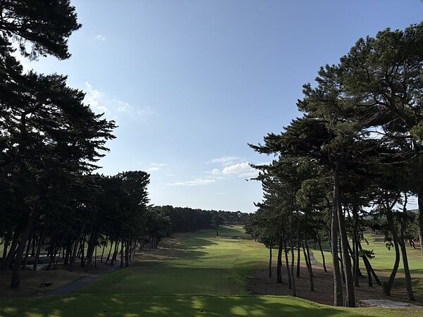 真夏の爽やかラウンド⛳の画像