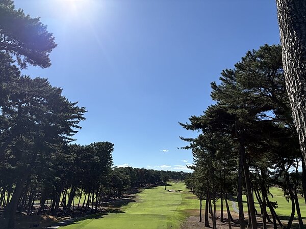 酷暑の中でワイワイプレーの画像