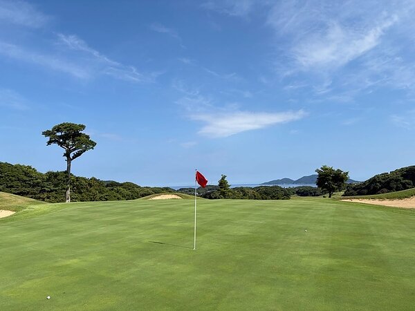 とても面白いNEWユーアイゴルフ⛳の画像