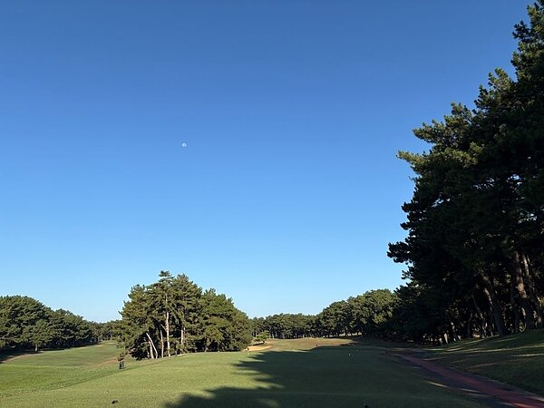 秋晴れ⛳の画像